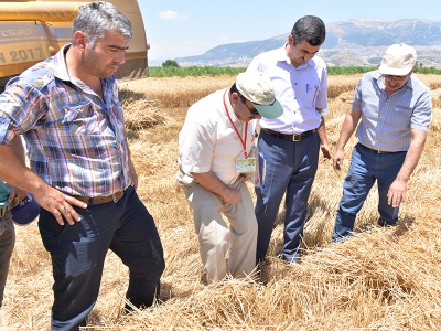 Kahramanmaraş’ta hedef sıfır dane kaybı