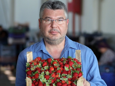 Dünya Kupası onların da yüzünü güldürdü
