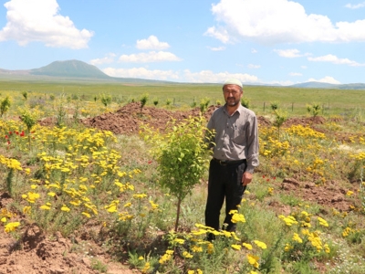 Çiftçiler ağaç desteğinden memnun