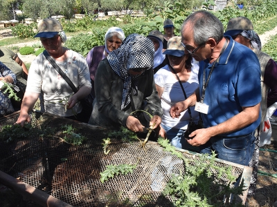 Çiftçiler şevketibostanı tattı, tanıdı