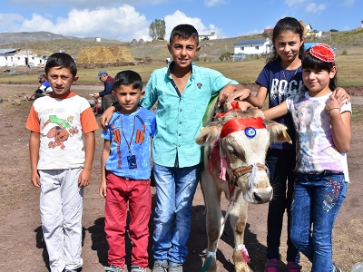 Kars’ta Geleneksel Güzel Buzağı Yarışması yapıldı
