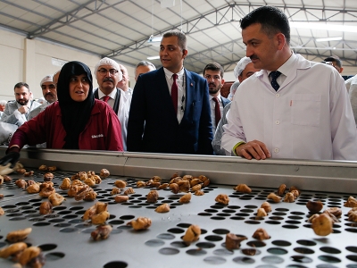Tarım ve Orman Bakanı Bekir Pakdemirli Aydın'da