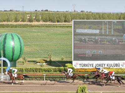 Atlar “Karpuz Festivali” için koştu