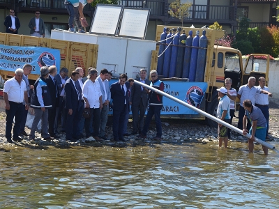 Yavru sazanlar İznik Gölü’ne bırakıldı
