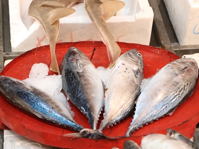 Tezgah doldu fiyat düştü