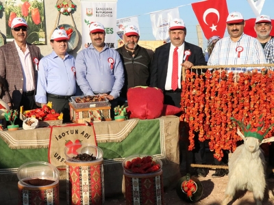 Şanlıurfa’da isot coşkusu