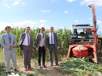 Silajlık mısır hasadı Samsun’da başladı