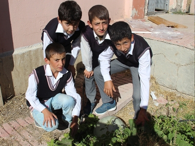 Minikler okulda sebze yetiştirdi