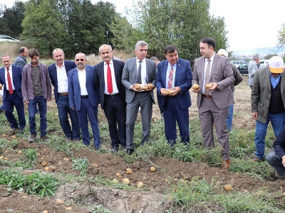 Samsun’da patates hasadı tarla günü