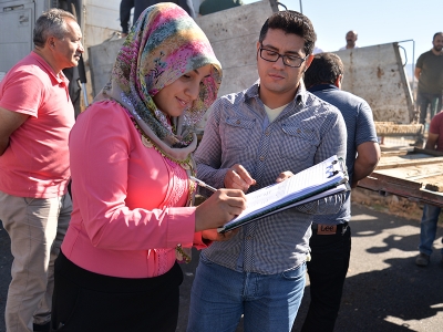 Genç çiftçilere büyükbaş hayvan desteği