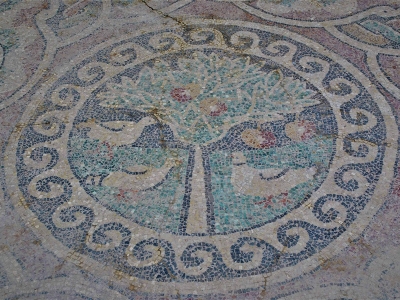 Amasya’da elma 2000 yaşında