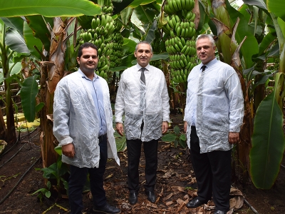 Manisa jeotermal seracılıkta 