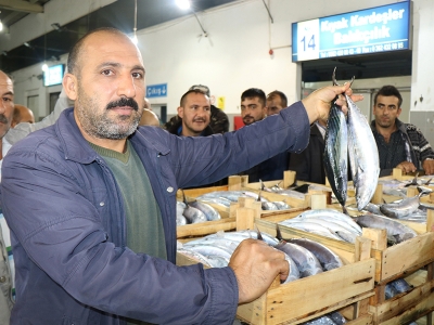 Karadeniz’de palamut bolluğu