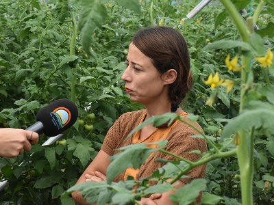 Ortacalı çiftçi “Örtü Altı Yetiştiriciliği” ile fark yarattı