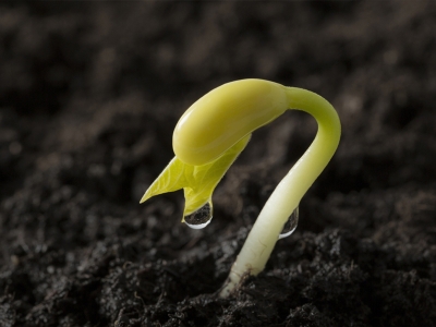 FAO’dan “Toprak kirliliğini durdurun” çağrısı