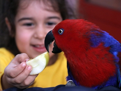 Okulda “Sevimli Kanatlar Parkı ”