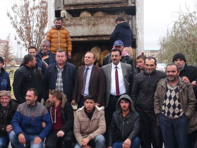 Aksaraylı Genç Çiftçilere küçükbaş hayvan desteği