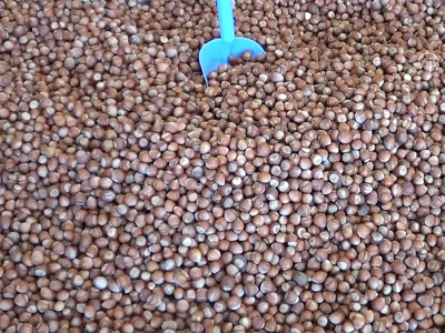 Günde bir avuç kabuklu yemiş