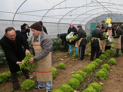 Tarımla engelleri aşıyorlar