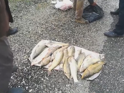 Dicle Barajı’nda kapak koptu balıkçılar sevindi