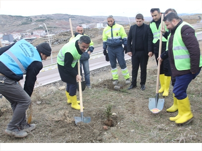 Çankırı Belediyesi bin 500 fidanı toprakla buluşturdu
