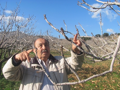 Gaziantep’te yağış çiftçinin yüzünü güldürdü