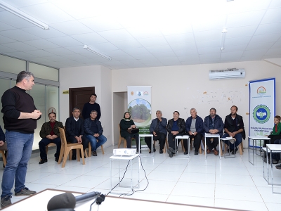 Kahramanmaraş’ta organik zeytin yetiştiriciliği başlıyor