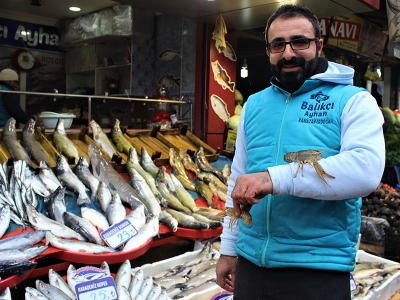 Elazığ’da balık bereketi