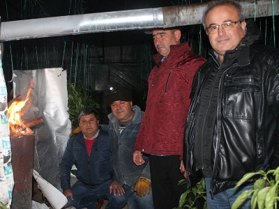 Antalya seralarında don nöbeti