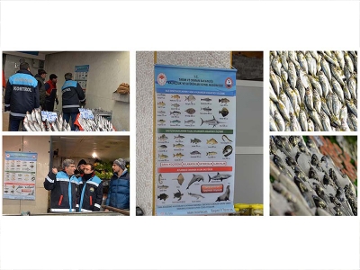 Kayseri’de balıkçılık bilinci artıyor