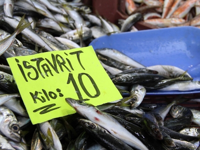 Sofraların yeni misafiri istavrit