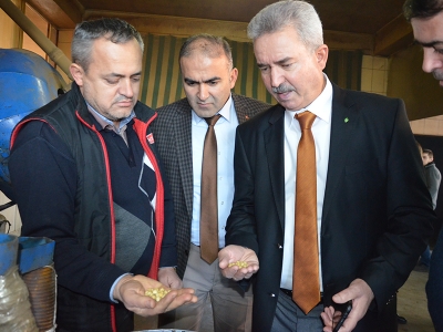 Leblebi diyarı “Serinhisar”