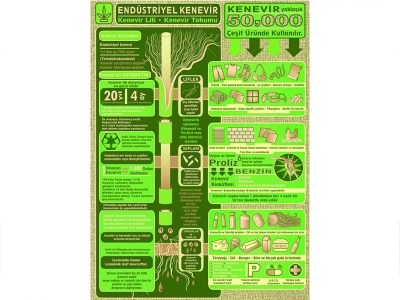 Çiftçinin yeni gelir kapısı, doğal yerli kenevir üretimi
