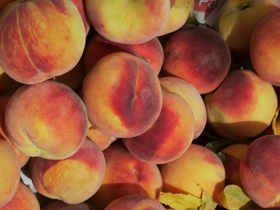 Tarım Kredi ve MEYED’den işbirliği