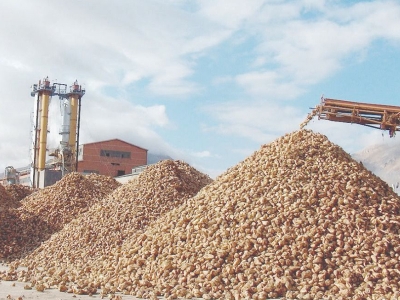 Şeker kotaları belirlendi