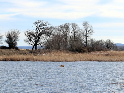 İğneada Longozu manzarasıyla büyülüyor