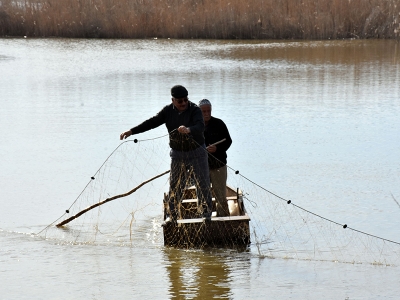 Tarım arazisinde balık avladılar