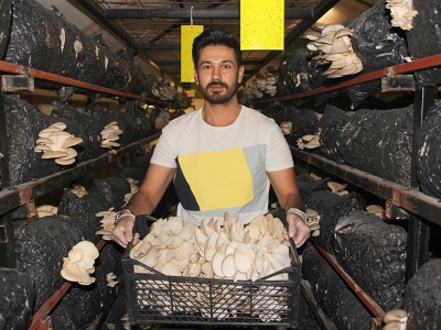 Genç üreticiden mantar başarısı