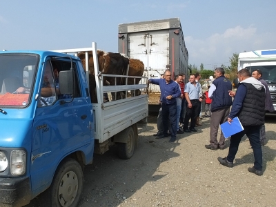 Genç Çiftçi Projesi kapsamında destekler devam ediyor