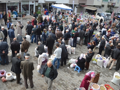 Tokat 5. Altın Ceviz Yarışması yapıldı