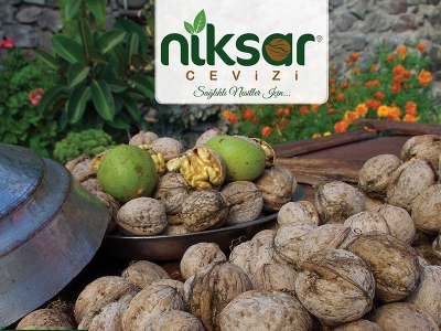 Niksar cevizine baklavacılardan yoğun talep