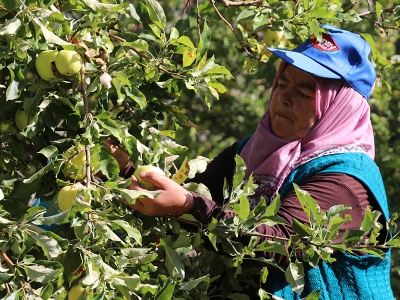 Erzincan’dan dünya çocuklarına