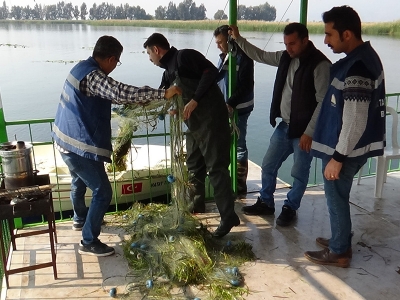 Hatay’daki göllerden ağ kalıntıları toplanıyor