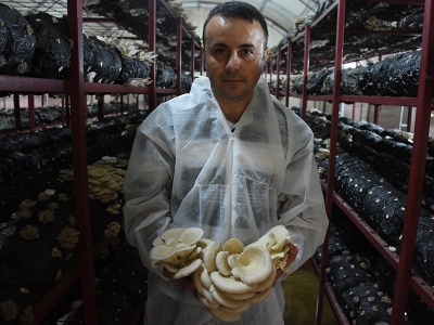 Hibe desteğiyle aylık 5 bin lira gelirli iş kurdu