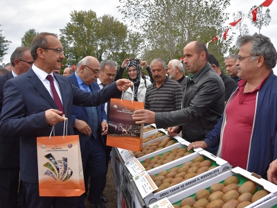 “Ordu kivisi hasat şenliği” düzenlendi