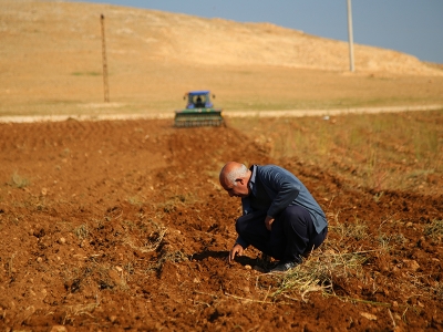 Erken gelen yağışla hububat ekimi hızlandı