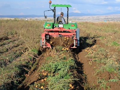Bitlis’teki patates üreticilerinin ciro hedefi 160 milyon TL