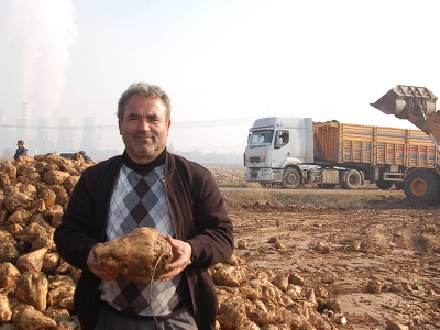 Kahramanmaraş’ta şeker alımları yeniden başladı