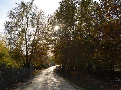 Amanos Dağları’nda sonbahar şenliği