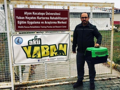 Yaralı kerkenez kurtarıldı